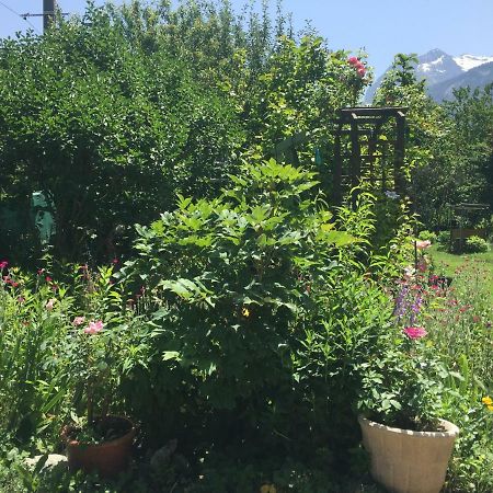 La Tannerie Daire Le Bourg-dʼOisans Dış mekan fotoğraf